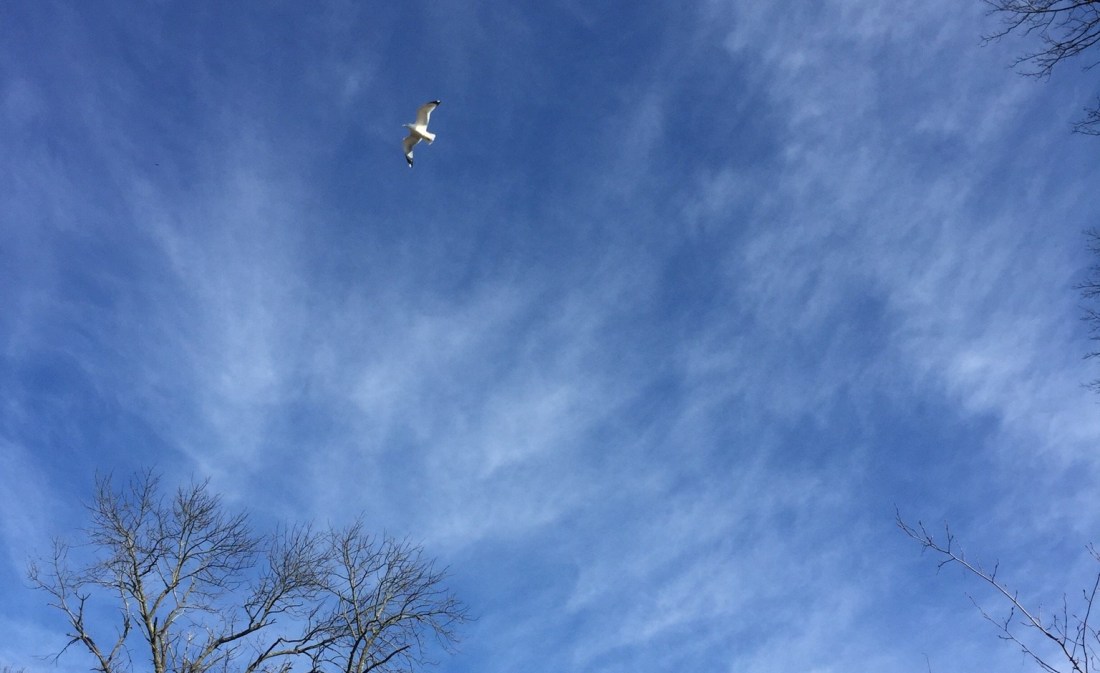 6F556B1E-7878-4C06-8E1F-C53003767AE8